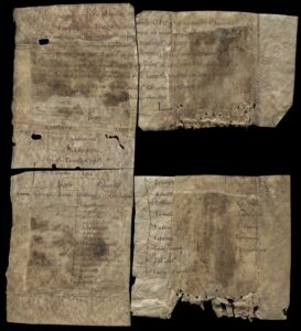 Fragmenty pergaminowej karty z XI w. z odpisem traktatu Boecjusza "De topicis differentiis", użytej wtórnie jako wzmocnienie grzbietu książki
