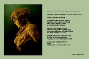 Wystawa online WierszYstawka, praca Damiana Dawida Nowaka