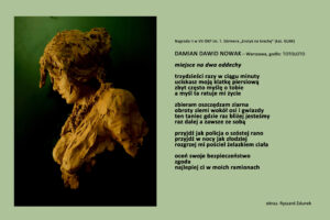 Wystawa online WierszYstawka, praca Damiana Dawida Nowak
