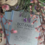 4 botanika wystawa, fot. J. Błoch