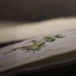 Zbliżenie na otwartą książkę zawierającą szczegółową, kolorową ilustrację botaniczną kwitnącej rośliny, z odręcznymi notatkami widocznymi na stronie. Tło jest delikatnie rozmyte, skupiając uwagę na ilustracji.