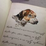 Otwarty notatnik z akwarelą przedstawiającą głowę psa nad odręcznym tekstem napisanym kursywą, z numerem strony 38 w prawym górnym rogu.