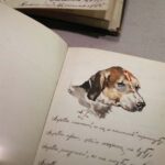 Otwarty notatnik przedstawia akwarelę przedstawiającą głowę psa na jednej stronie, z odręcznym tekstem napisanym kursywą poniżej i obok ilustracji. Inny notatnik jest częściowo widoczny w tle.